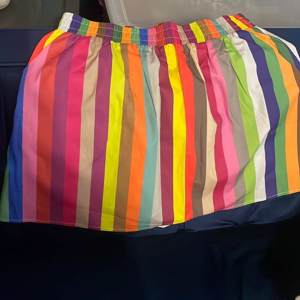NWOT Striped Skort